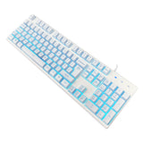 VIDA REBEL 2IN1 WHITE USB DESK KIT keyboard Mouse included Gaming QWERTY UK English