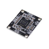 PAM8610 Module